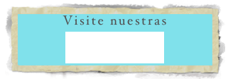 Visite nuestras 
NOVEDADES